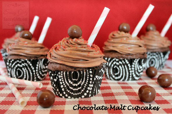 The Cupcake Project: Chocolate Malt Homemade Cupcakes Recipe