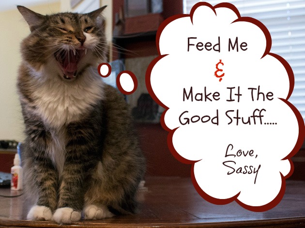 Cat Health | Sassy Girlz Blog #shop
