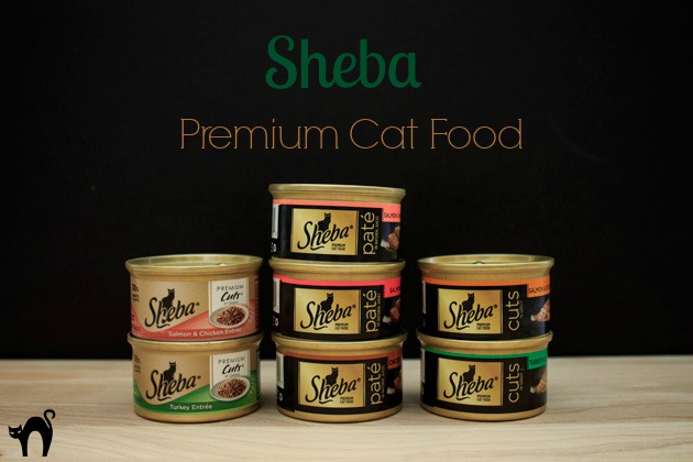 Cat Health Sheba Cat Food #shop | Sassy Girlz Blog