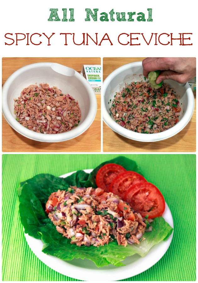 Tuna Salad Spicy Tuna Ceviche |Sassy Girlz Blog #shop