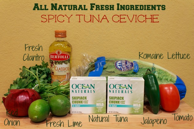 Tuna Salad Spicy Tuna Ceviche | Sassy Girlz Blog