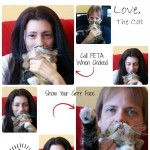 Cat Bearding How To (Not) – The Cat Tells All