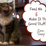 Tips From Sassy – Cat Health and Happiness – My Way